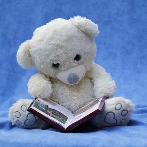 White teddy bear reading book